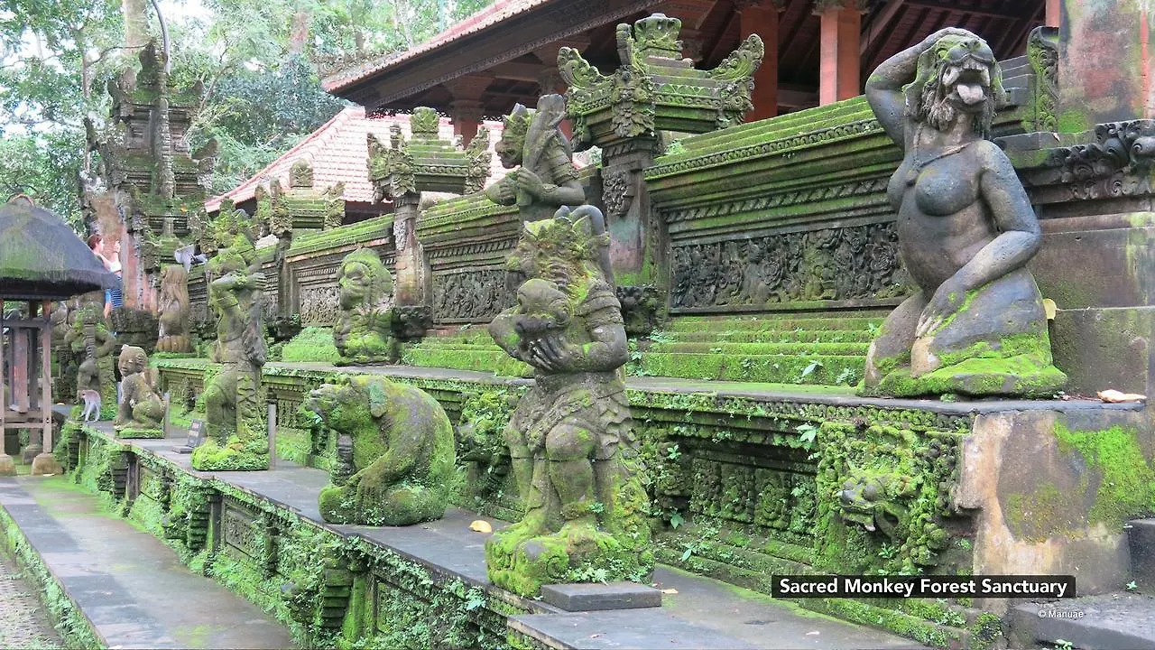 Zen Rooms Ubud Nyuh Kuning Prázdninový areál